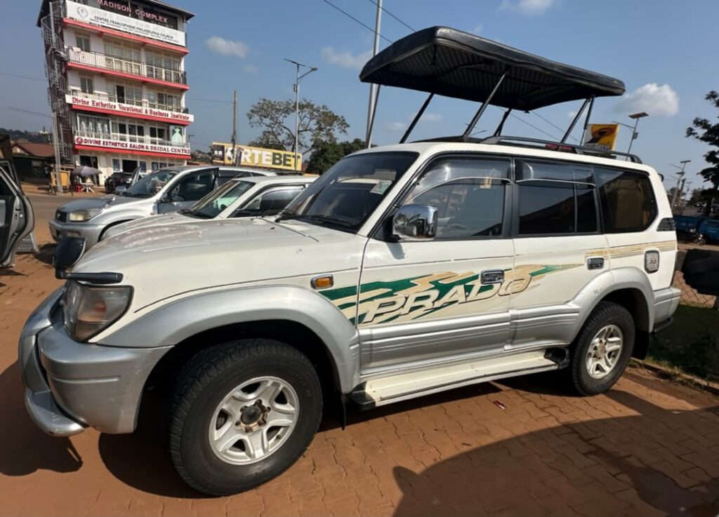 entebbe to bwindi
