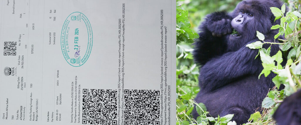 gorilla permits bookings