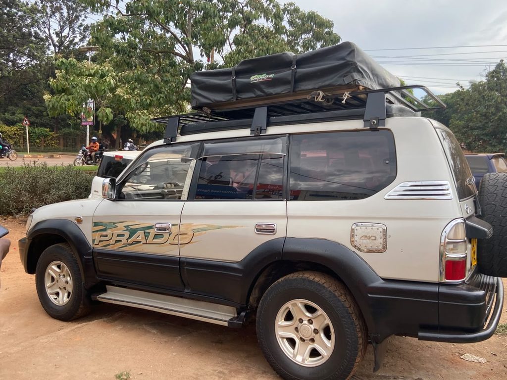 Gorilla Trekking