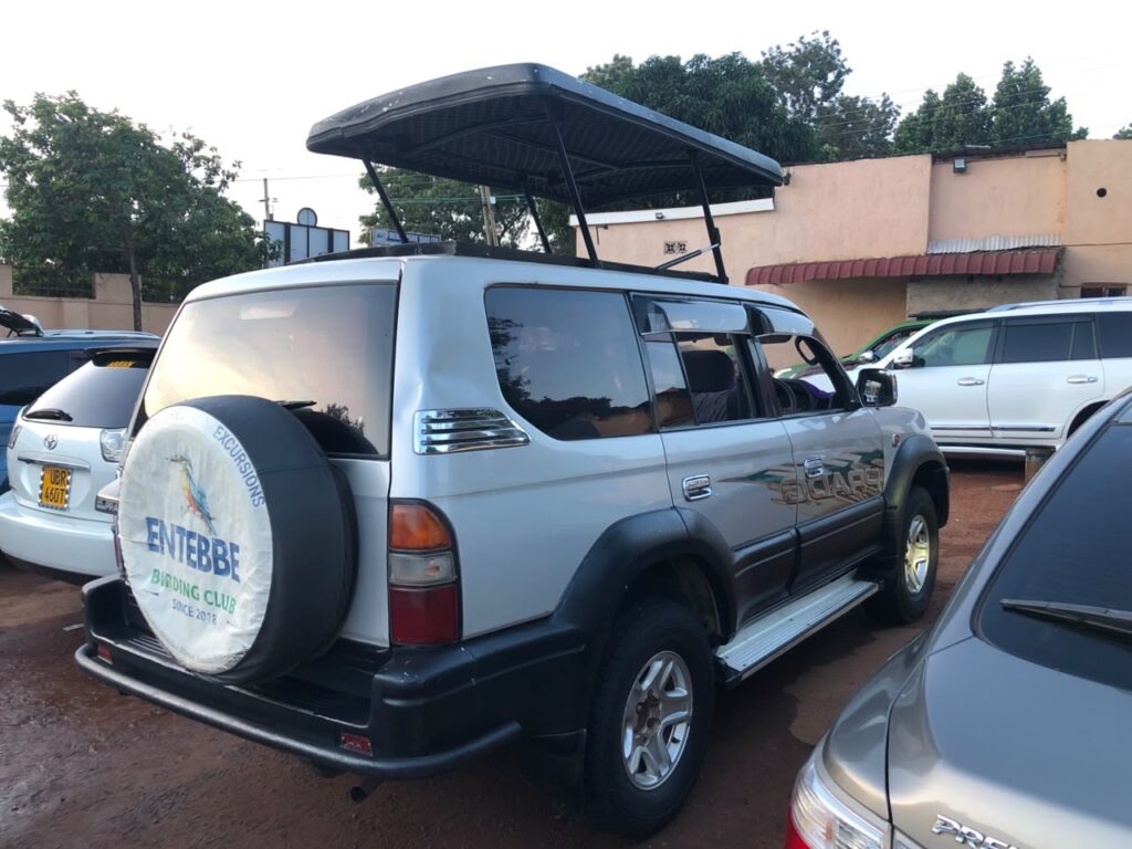 Land Cruiser
