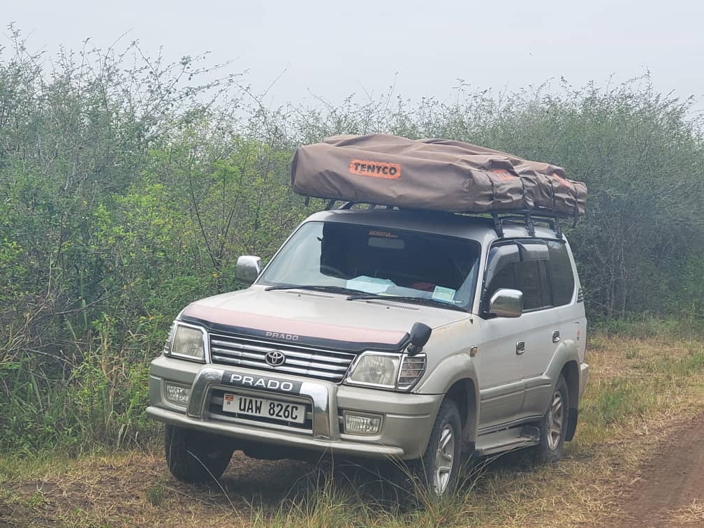 The Best Camping Gear for Outdoor Adventures in Uganda