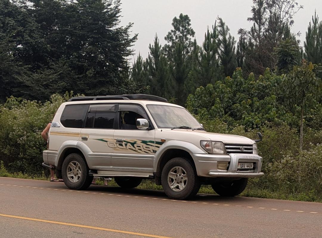 Car Rental
