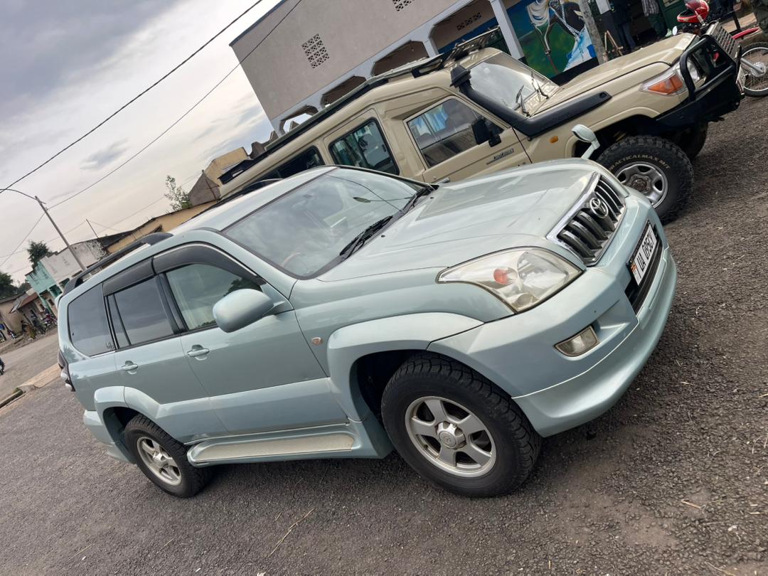 car rental uganda-https://chimphomesafaris.com/uganda-wildlife-safaris/